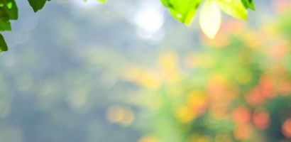 Liewen Dobaussen asbl