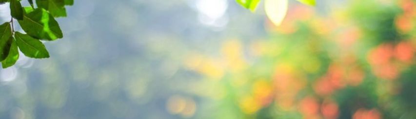 Liewen Dobaussen asbl