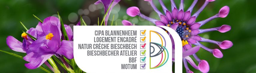 Fondation Lëtzebuerger Blannevereenegung